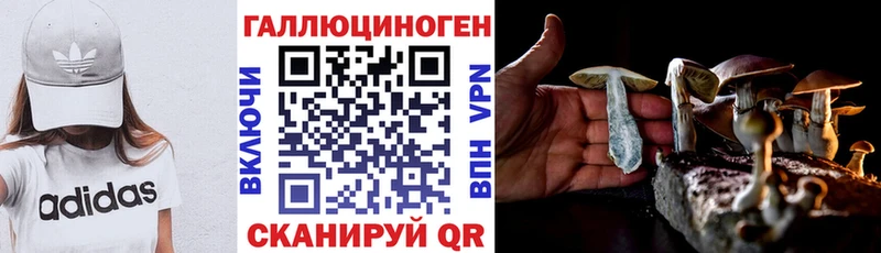 где купить наркоту  Аргун  Галлюциногенные грибы GOLDEN TEACHER 