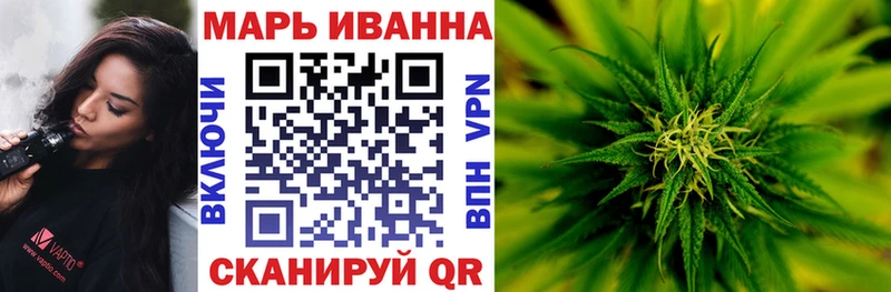 Каннабис сатива  Аргун 